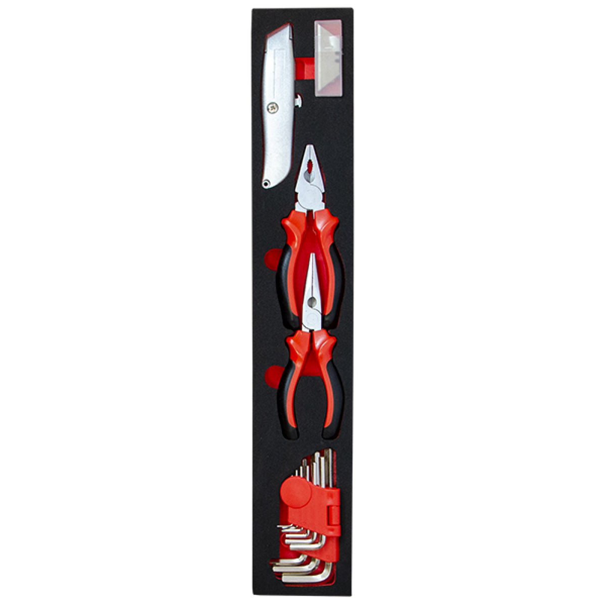 Tool tray with combination spanners, hammer, locking pliers and tape measure